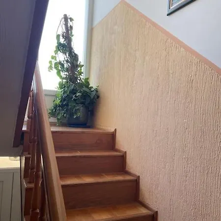 Apartament With Beautiful View Of Avala Mountain 3 For 6 Guests Max Srb, De, En Belgrad